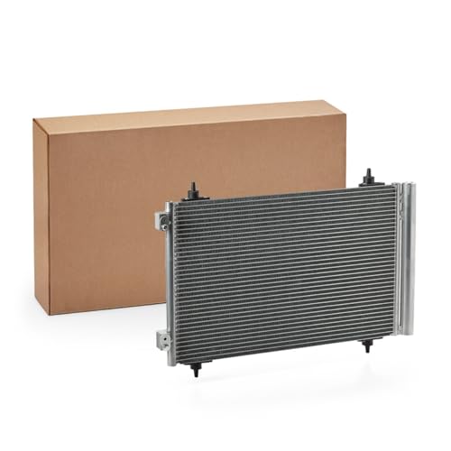 RIDEX 448C0118 Condensador aire acondicionado con secador compatible con FIAT Scudo 270, 272 Scudo Furgón 270, 272 Ulysse 179 Scudo Camión de plataforma/Chasis 270, 272, PEUGEOT Expert Tepee VF3X