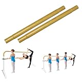 Artan Balance Extension for 6Ft Double Bar Curved Ballet Barre 25