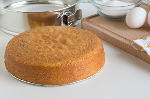 Fox Run Springform Pan, Tin-Plated Steel, 8-Inch,Metallic #TOP5