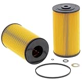 Oil Filter 15601-EV011 YP15601EV011 Fits for Hino E13CYM P11C, Hitachi ZW310-5 ZW330, New Holland