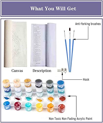 Tiwabb Paint By Number For Adults,Gnomes-Paint By Numbers Kits,Diy Flowers Adult Paint By Number Arts And Crafts Paintwork With Paintbrushes,Gift Home Wall Decor(12X16Inch) #TOP6