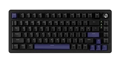 Ducky OK-M 75 Blackout 75% Hotswap Wireless RGB Keyboard (KTT Baby Blue)