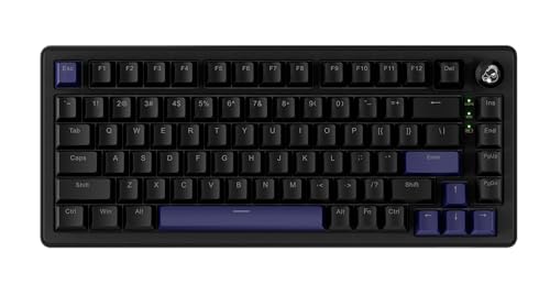 Ducky OK-M 65 Blackout 65% Hotswap Wireless RGB Keyboard...
