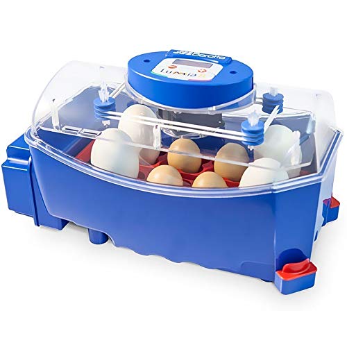 Suinga INCUBADORA AUTOMATICA 8 Huevos. Equipada con girador de Huevos automático. Válida para incubar Huevos de: Gallina, Faisán, Pavo, Codorniz, Perdiz, Pato, Pavo Real, Paloma...
