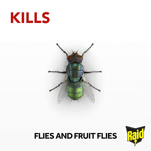 Raid Fly Trap Window Stickers, Fly Killer for Indoor Use, Non Toxic and Insecticide Free Formula, Pack of 1 (4 Stickers) - Image 3