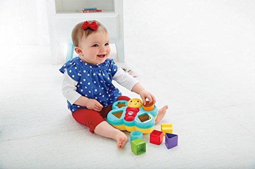 Fisher-Price CDC22 - Sortierspaß-Schmetterling, Verschiedene Formen sortieren, Babyspielzeug ab 6 Monaten – Bild 6