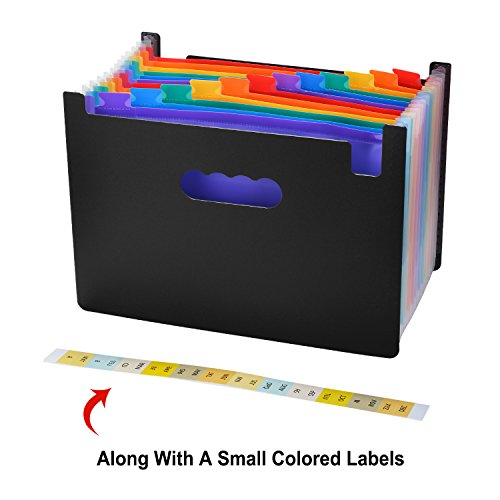 Cartella Portadocumenti Espandibile con 12 Tasche