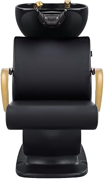 Dir Shampoo Backwash Unit Beauty Salon Shampoo Backwash Station w/Gold Accents Beckman