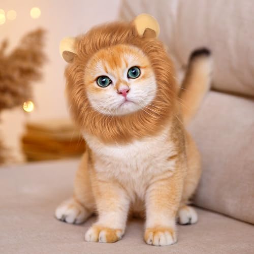 Fantasias de gato, peruca de juba de leão, roupas engraçadas para gatos, filhotes, animais de estima