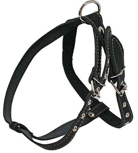 Black Real Leather Dog Harness Medium. 21"-25" Chest, 1" Wide Straps #TOP1