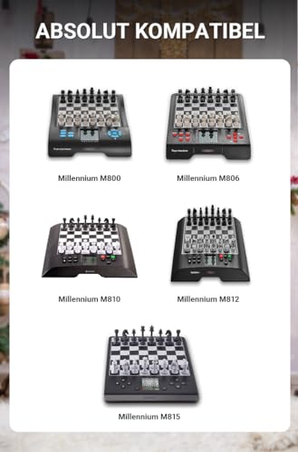 Bloc d'alimentation stable pour jeu d'échecs Millennium M810 - 2