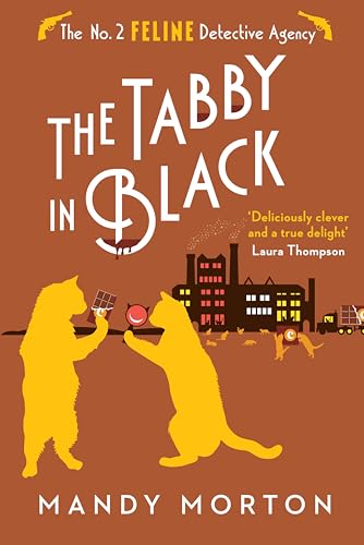 The Tabby in Black