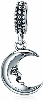 Pandora Charms Bracelet \u0026 Necklace 