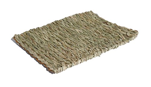 Rosewood Pet Naturals Animal Woven Chill-n-Scratch Mat, X-Large