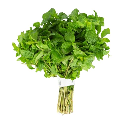 Premium Mint Leaves 1 Bunch