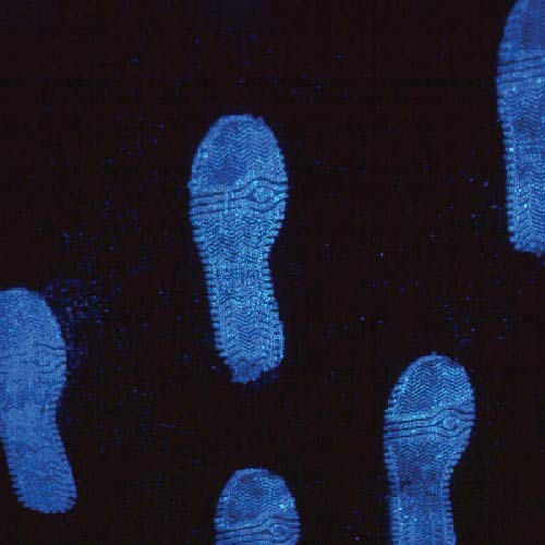 Lightning Luminol, 16oz.