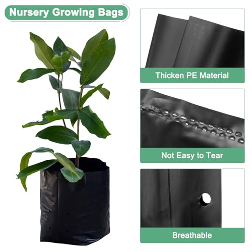 M METERXITY 100-Pack Nursery Growing Bags, 6.7" x 9.8" Thicken Plastic Nursery Bags - Image 2