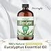 Naturopathy Eucalyptus Essential Oil, Therapeutic Grade, Premium Quality Perfect for Aromatherapy (4 fl oz)