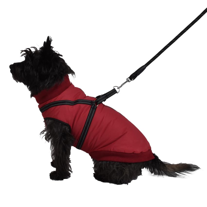 Manteau pour chien chaud bordeaux veste imperméable dos 36cm