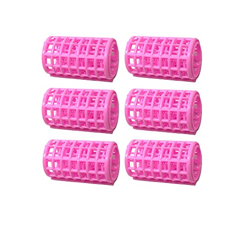 6Pc Hair Roller Set W/Cover Large Assorted #TOP1