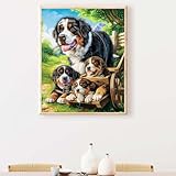 【Diamond Painting Kit】： L'art pictural peut améliorer les compétences manuelles des enfants, la discrimination des couleurs et est également un kit de peinture au peinture diamant adulte afin de se détendre et d'évacuer le stress