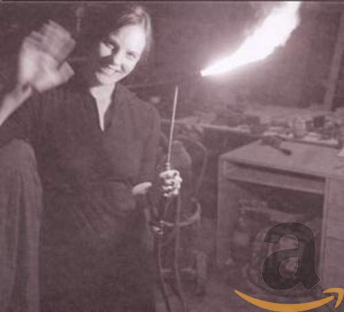 The Calcination Of Scout Niblett [Audio CD] Scout Niblett and Dave Doughman