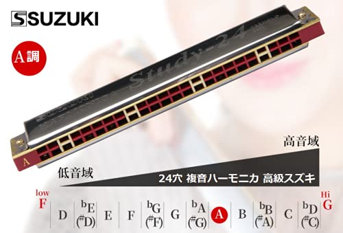 Amazon | SUZUKI -24H C 24穴 複音ハーモニカ 高級スズキ 複音
