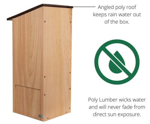 Jcs Wildlife Cedar Wood Duck Nesting Box With Poly Lumber Roof - Mount In Or At The Water's Edge To Attract Wood Ducks Nearby - Equipped With Clean Out Door And Drainage Holes (Brown) #TOP1