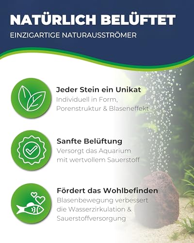 Hobby Vulcano Naturausströmer I 11 x 8 cm I Einzigartiger Lavastein als Aquarium Deko & Luftausströmer I Zubehör für Sauerstoffversorgung I Natürlicher Sprudelstein für Aquarien & Terrarien