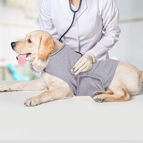 Home Dog Health & Wellbeing