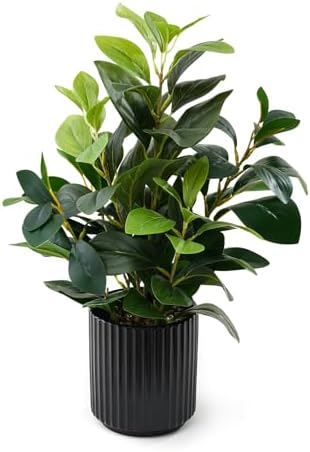 16 inch Artificial Plants Indoor Realistic Touching Evergreen Lea...