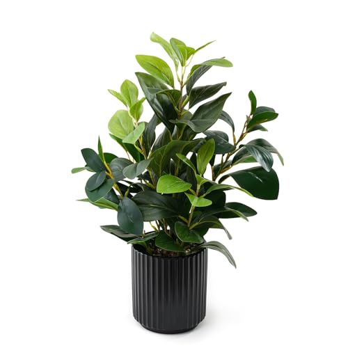 EZBOHO 16 inch Artificial Plants Indoor Realistic Touching Evergreen Leaf Fake Plant with Creamic...