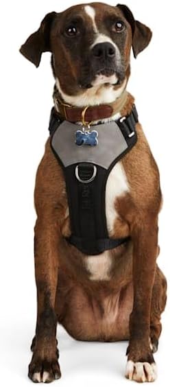 Reddy by Petco Jacquard Dog Harness Black Large