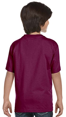 Hanes Boys' TAGLESS®, ComfortSoft®, Crewneck T-Shirt,X-Large, Ash2