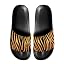 Golden Zebra Stripe