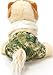 Gund Boo The World's Cutest Dog With Swim Trunks & Towel 9