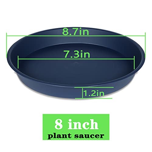 image for Bleuhome 6 Pack of 8 inch Plant Saucer Blue, Plastic Plant Water Tray 
