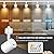 VANoopee 5-Color 6-Light LED Track Lighting Kit with 6.6FT H Type Track Lighting Rail, LED Track Light Heads Dimmable Modern Kitchen Track Lighting Fixtures Ceiling Spotlight, CRI90+ 10W 800lm White