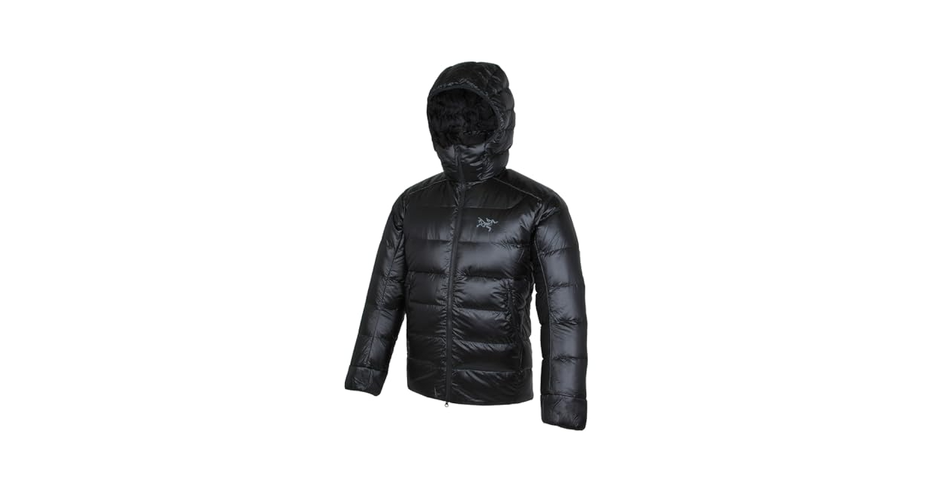 Amazon.co.jp: [アークテリクス] セリウム SV フーディ メンズ