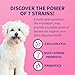 Nutramax Proviable Probiotics for Dogs and Cats, Daily Digestive Health Supplement with Multiple Strains of Bacteria, Cat and Dog Probiotics Plus Prebiotics, 80 Capsules