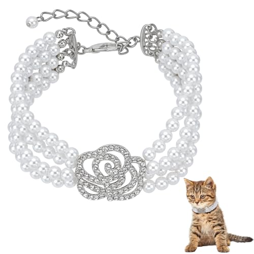 FINGERINSPIRE ybgp[J[lbNX 4̐^ ߉\  L LLWG[ lbNX CXg[ [Yt[ ybg EFfBOJ[ ^ L q ETMAzCgAS