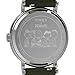 Timex Men's Peanuts Weekender 40mm Watch - Green Strap White Dial Silver-Tone Case