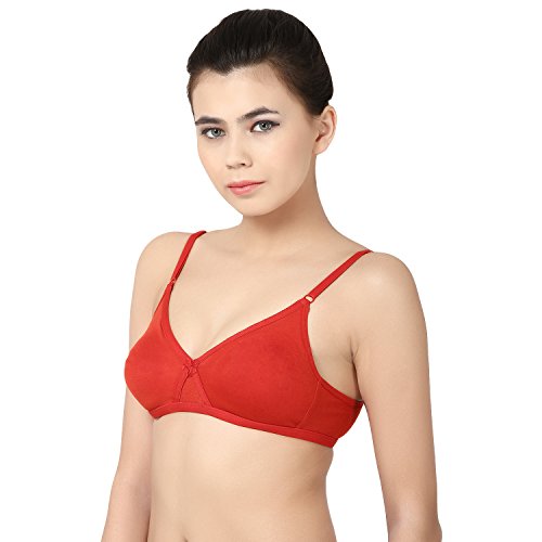 Image of She Wears Full Coverage Non-Padded and Wirefree Daily Use Combo Bra Panty Set for Female.