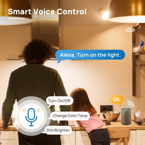 Linkind Smart WiFi Dimmable LED A19 Bulbs #TOP10