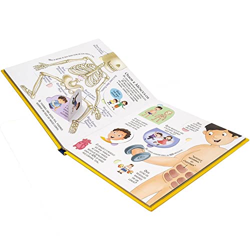 Explorar e Aprender - Um livro com abas: Corpo Humano Explorar e Aprender - Um livro com abas: Corpo Humano - Imagem 6