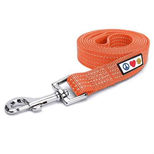 Pawtitas Orange Dog Leash 6 ft M/L Reflective Durable Lightweight Dog Lead for Medium or Large Dogs and Puppies