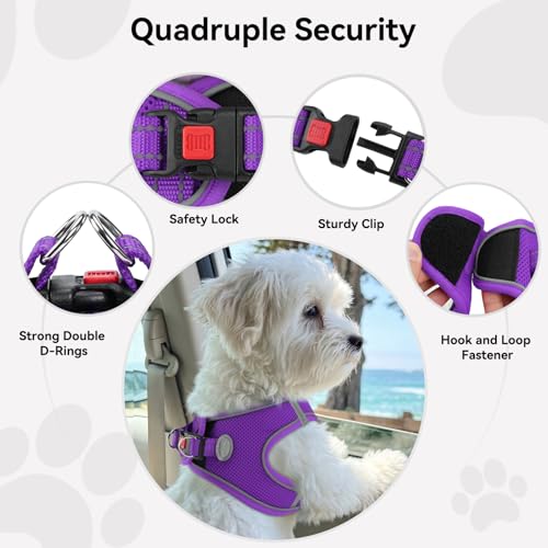 Joytale Hundegeschirr Kleine Hunde, Reflektierend Weich Gepolstert Geschirr, Air-Mesh Brustgeschirr Hund klein, S, Lila
