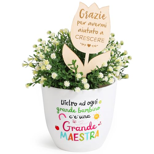 BOFUNX Regalo Maestra, Etichette per Piante in Legno Marcatori di Piante Targhette per Piante in Legno con Adesivi, Idee Regalo Originale per Maestra Insegnante