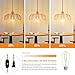 QIYIZM Plug in Pendant Light Hanging Lights with in Cord Mid Century Modern Gold Hanging Lamp Flower Glass Amber Vintage Dimmable Chandelier Ceiling Fixture for Living Room,Kitchen,Boho