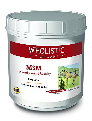 dog supplements for homemade food